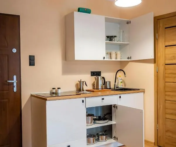 Daire - Nocna Sowa Gluszyca