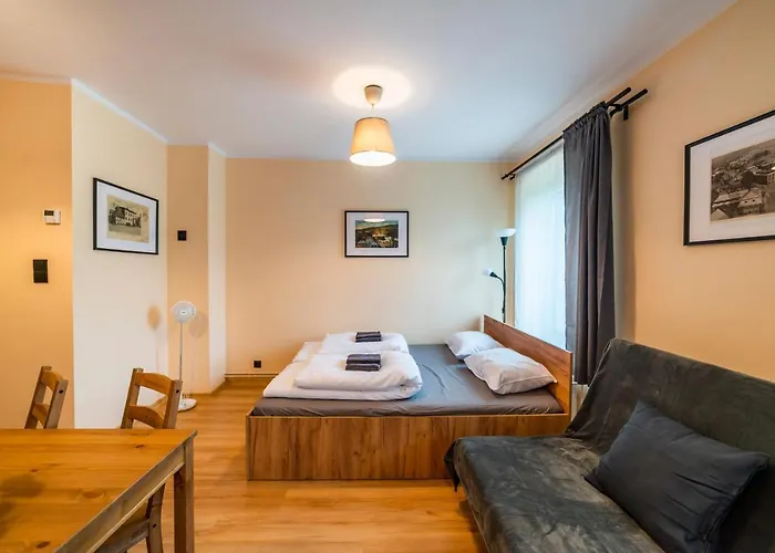 - Nocna Sowa Gluszyca